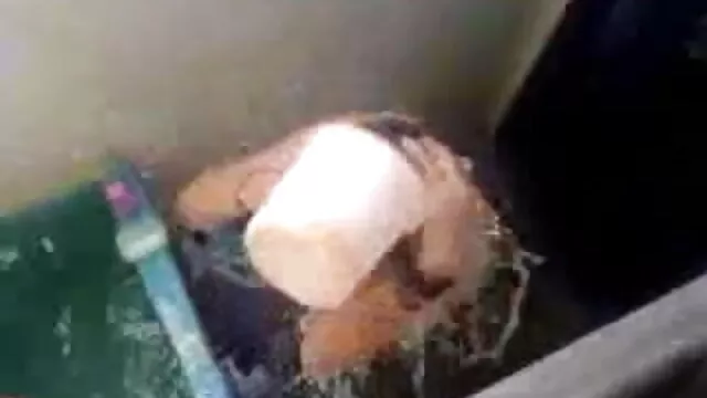 میں آنے کے لئے ایک کتے کی دیکھ بھال ، اور عورت مرض کے ماہر دانلود کلیپ سکسی جدید ایرانی آخر