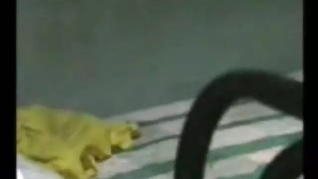 روم میں ایک فیلم سکسی جوانان ایرانی نوجوان لڑکی کے ایک رکن کے ساتھ