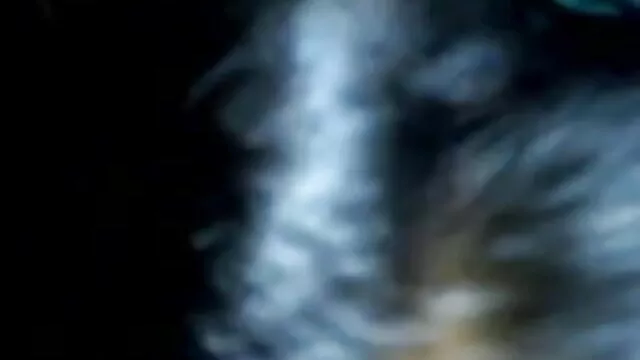 بڑے بھائی لے چکن کے بھائی کی طرف سایت سکسی فیلم ایرانی سے منہ