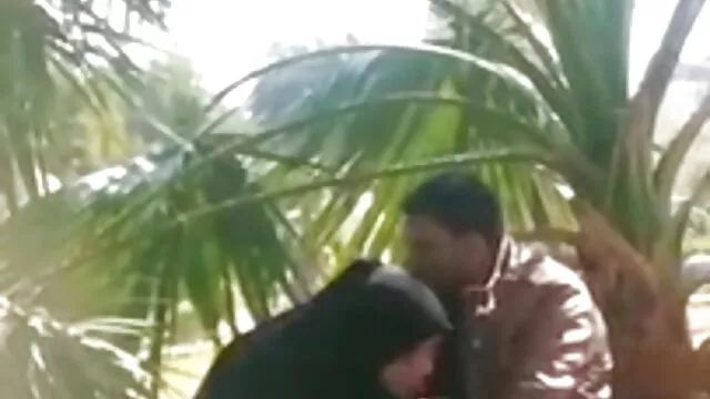شہوانی ، شہوت انگیز پارکنگ