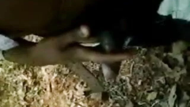 بچے کو ہتھیار ڈالنے کے فیلم سکس زن و مرد ایرانی لئے کیفے زائرین