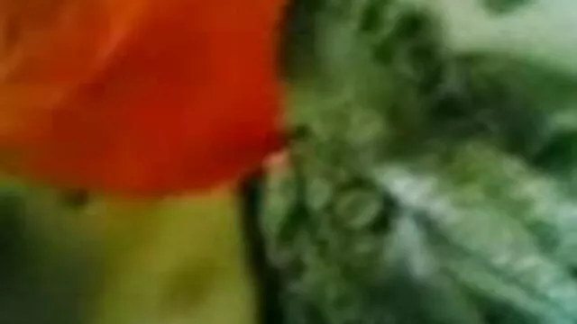 میں مداخلت کے ظہور پخش کلیپ سکسی ایرانی کے ساتھ اپنے جنسی