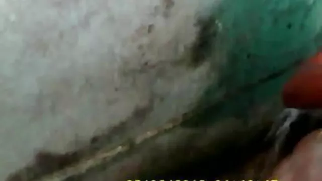 Slut Cosima نائٹ دانلود کلیپ سکسی گی ایرانی پہنچ گئے ابتدائی کرنے کے لئے کسٹمر
