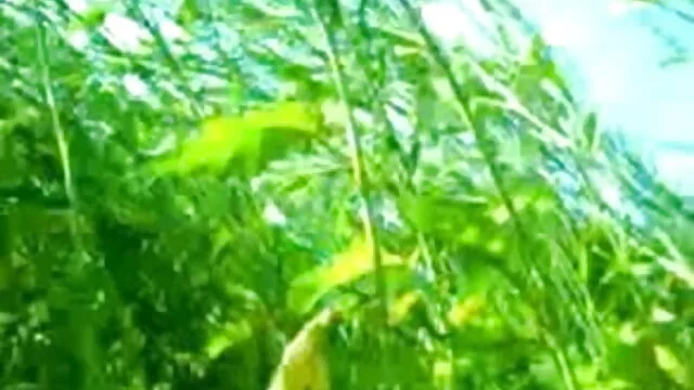 بنا لئے محبت اور فیلم سوپرسکسی ایرانی سہ