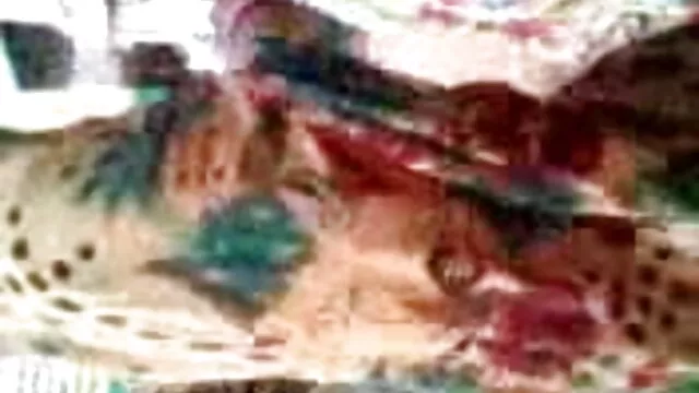 ارکان کے لالچی چوسنے کی عادت میں دانلود رایگان کلیپ سکسی ایرانی نائٹ کلب