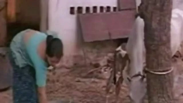 مینوئل کرال pampushka پورن ایرانی تلگرام آسٹریلیا ایک موٹی گدا کے ساتھ سوانا
