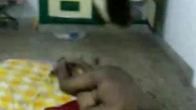پتلی سیاہ بالوں فیلم داستان سکسی ایرانی والی ، جمع کرانے کے لئے خود کو سو