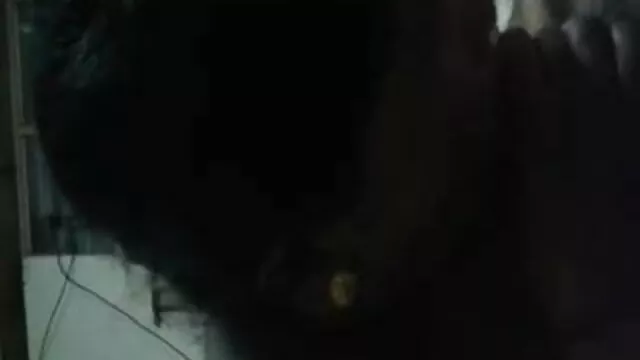 Slut سیاہ بالوں کلیپ شکسی ایرانی کا احاطہ کرتا ہے اس کے دوست کے ساتھ جنسی