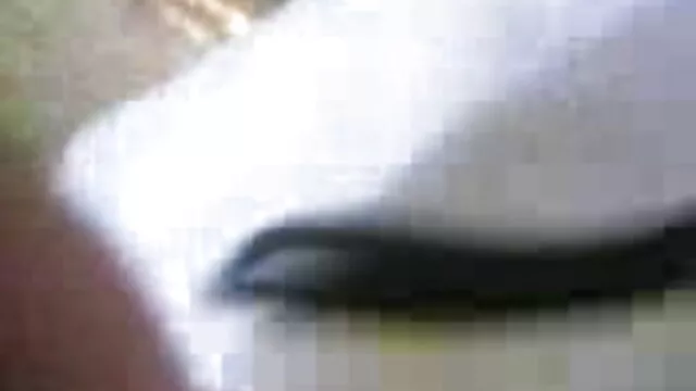 فوج پن کی طرف سے kor فیلم سکسی ایرانی کم سن برطرفی پر برطرفی
